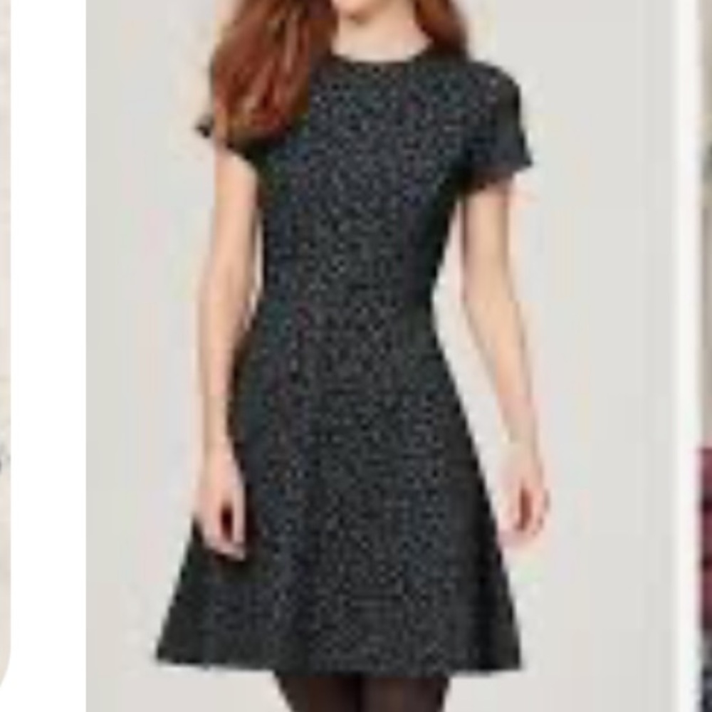 Ann Tylor LOFT Leopard Print Women's Dress.